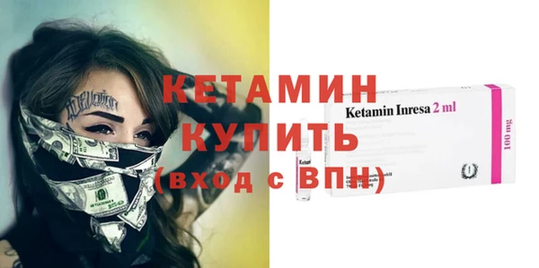 трава Коряжма